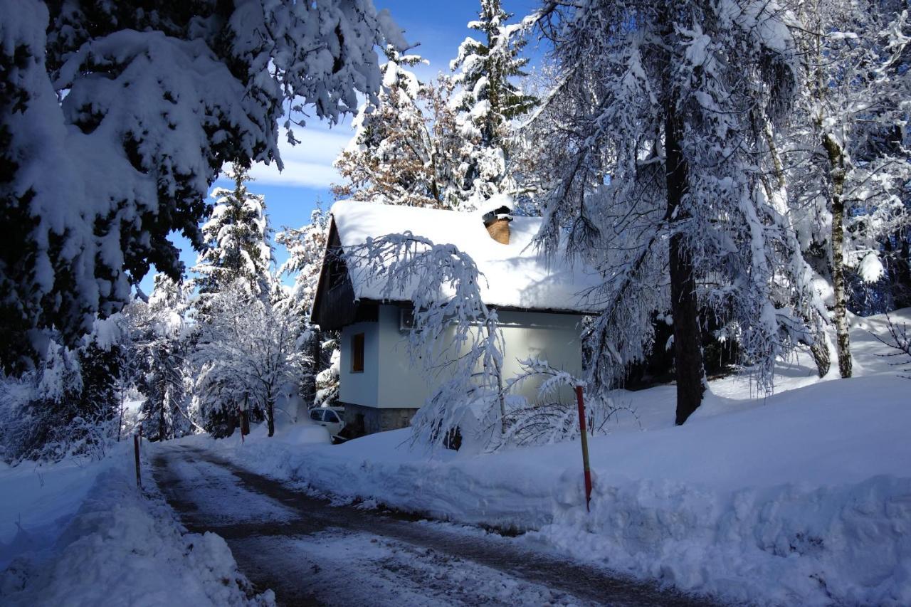 Forest House Villa Vrhnika Dış mekan fotoğraf