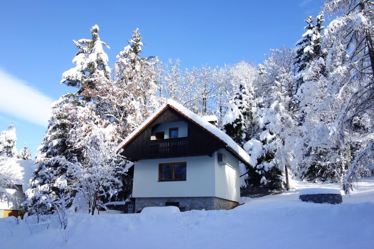Forest House Villa Vrhnika Dış mekan fotoğraf