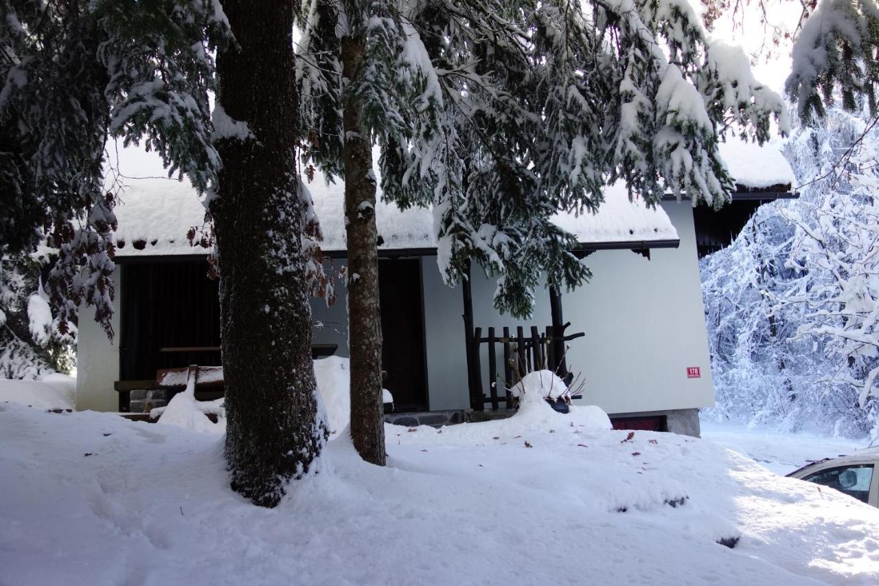 Forest House Villa Vrhnika Dış mekan fotoğraf