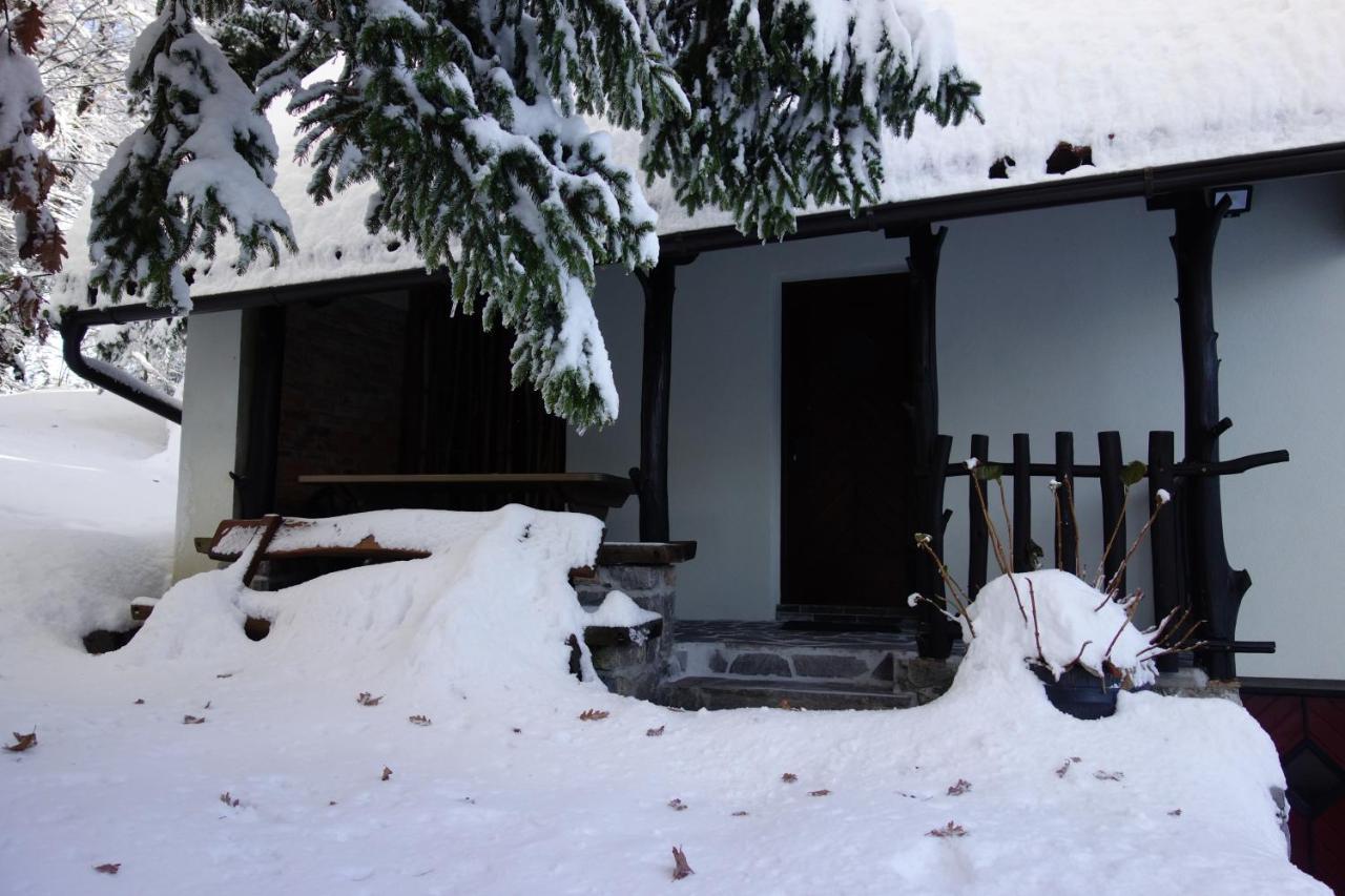 Forest House Villa Vrhnika Dış mekan fotoğraf